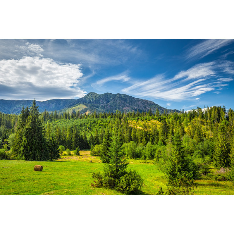 Dougan The Osobita Hill - Wrapped Canvas Print, 30cm H x 46cm W x 3.8cm D