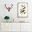 Selection of Birds by John Audubon - Picture Frame Painting Print-55613910-55613908