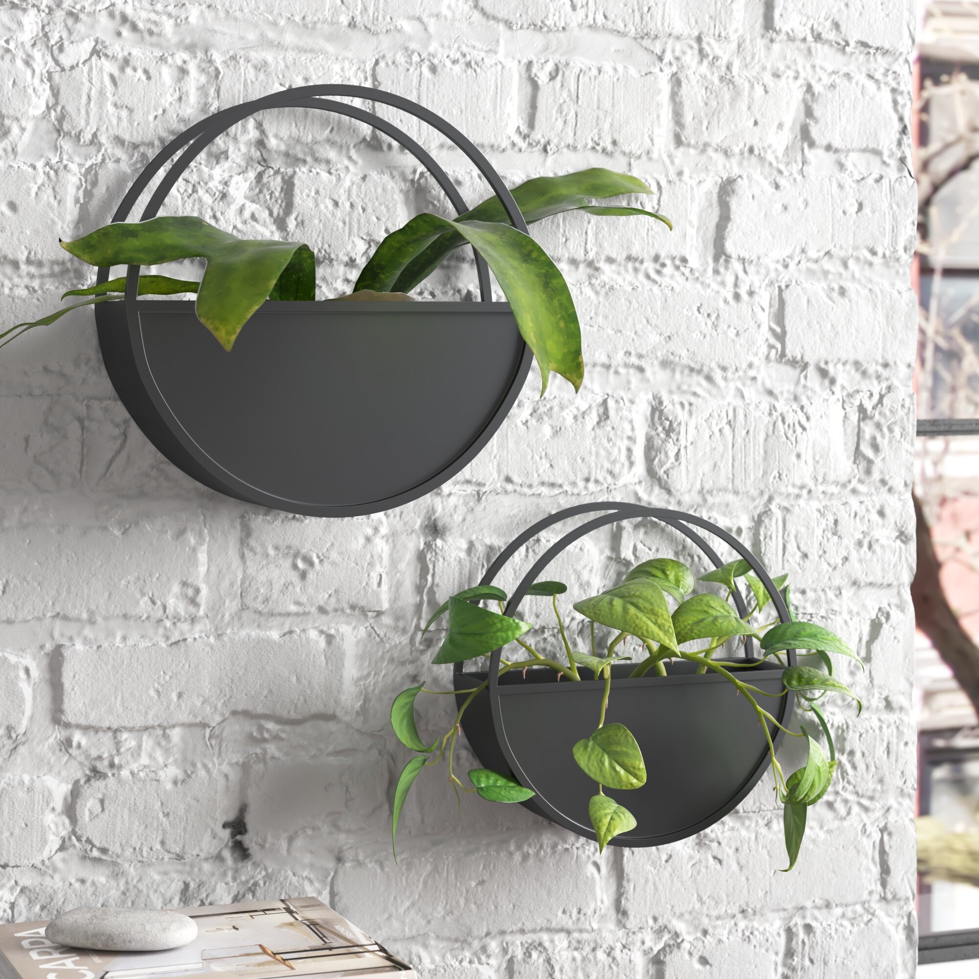 Steelside™ 2 Piece Set Metal Round Wall Planters - Black Iron Plant Holders  for Indoor Plants - Modern Transitional Style Wall Decor - Gift Idea for  Plant Lovers & Reviews