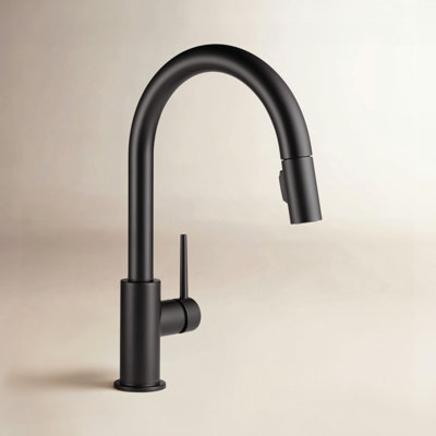Delta Trinsic Pull Down Sprayer Kitchen Sink Faucet, Single Handle Kitchen Faucet