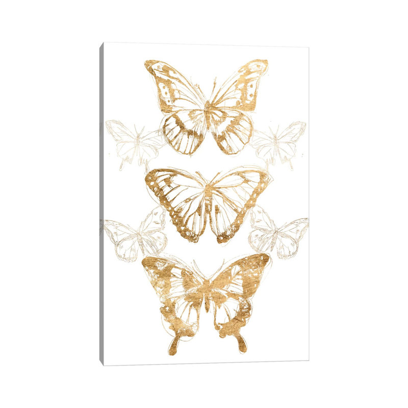 Gold Butterfly Contours II by June Erica Vess - Wrapped Canvas Print, 30.48cm H x 20.32cm W