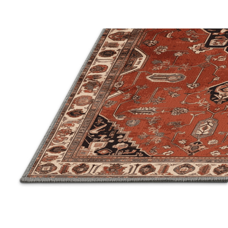 Tapis brun lavable à la machine, Rectangulaire 2 pi x 3 pi