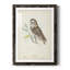 Little Owl Premium encadré mat - prêt à accrocher-1174590364-1174590305