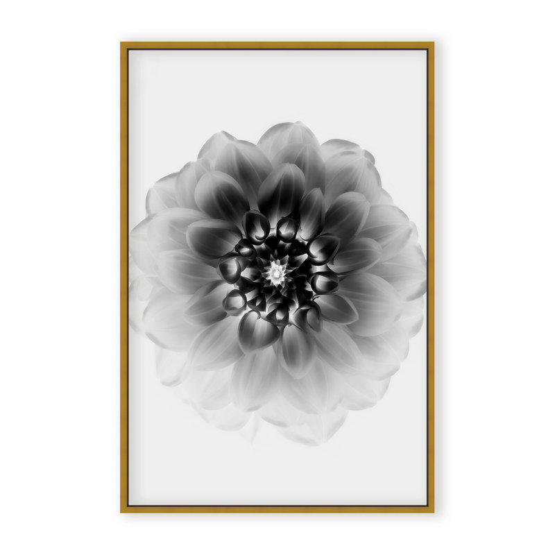 X-Ray Print by Alex Zhao, 48" H x 32" W x 1.125" D, Black, Framed Matted Print