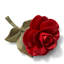 Porcelain Rose
