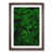 Walnut Framed selected