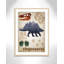 Décalcomanie murale Dinosaures-02 '-47836483-47836496