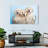 Brampt Buffy Biskit And Beau-107853137