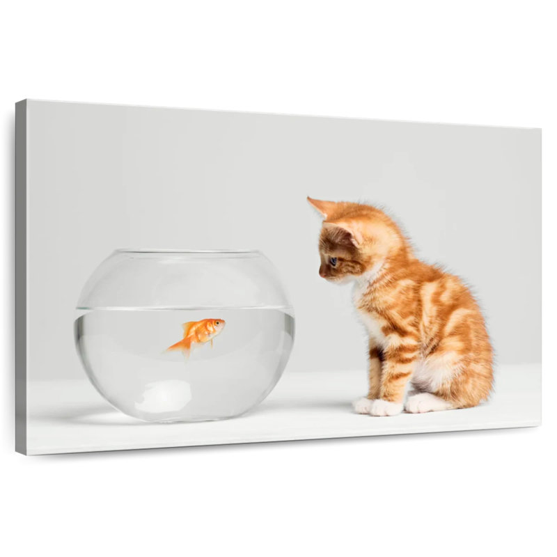 Poisson et chaton, H 32 po x l 48 po