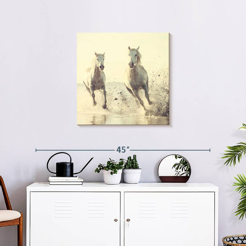 Brampt, chevaux français blancs