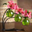 Ensemble de 3 vases en verre Creative-22104321
