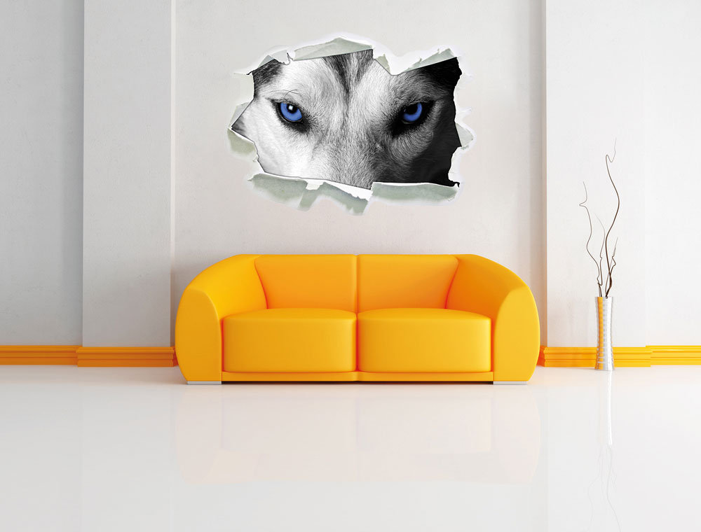 Gefährlicher Husky mit eisblauen Augen Wandsticker