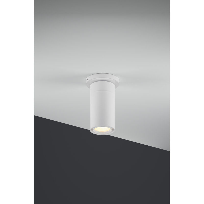 GX 25 LED Flush Mount, White
