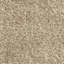Sherpa Teddy | Kova Fabric-1253050801