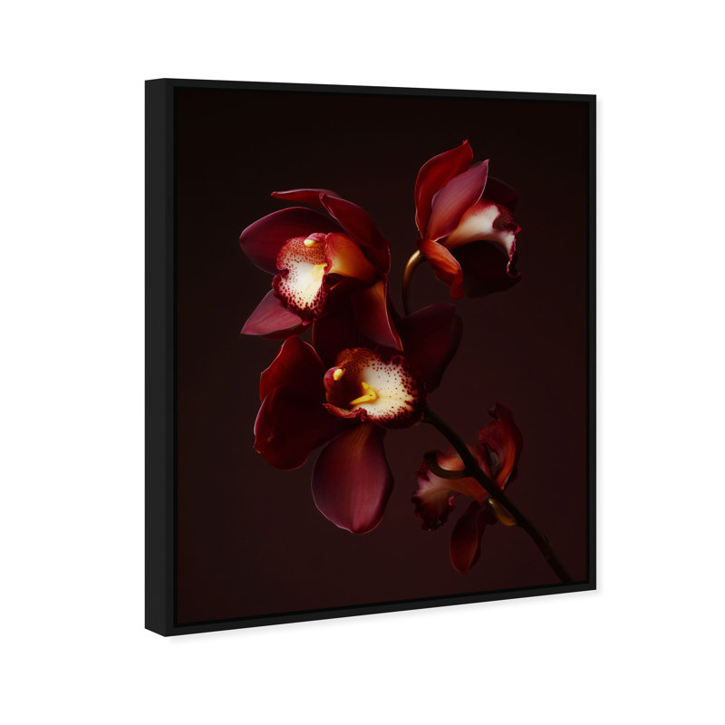 Ruby Bloom Print by Oliver Gal, 46" H x 37" W, Black Floater Frame