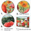 Rêves éclatants de coquelicots rouges-97057646-134185981
