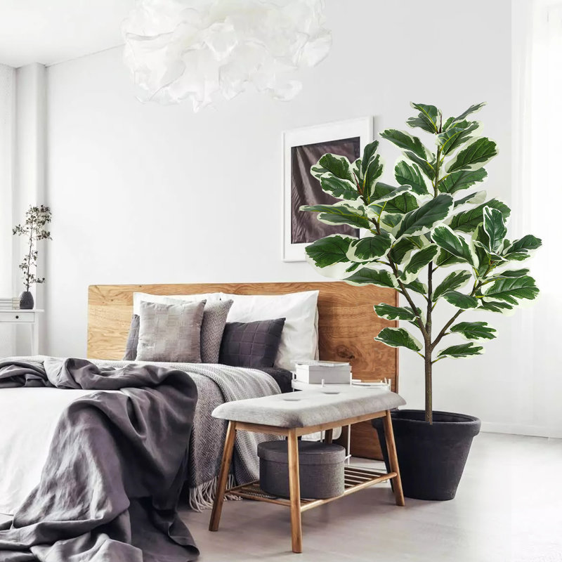 Arbre à figuier 51,6 po