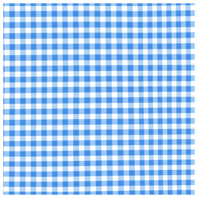 Blue White Gingham Quilted Bedspread All Sizes