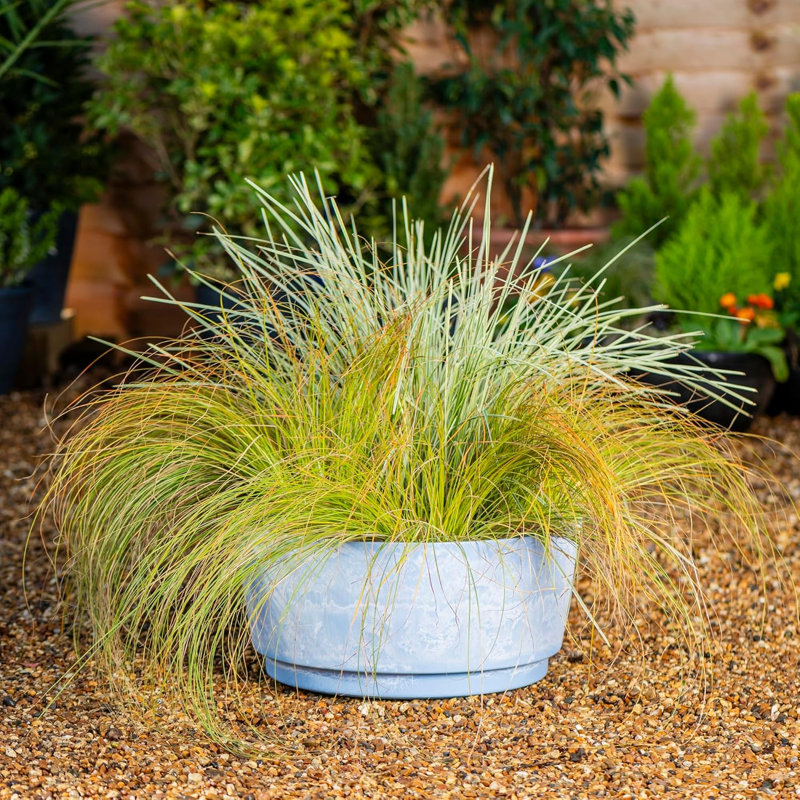 Pot Planter, 40cm H x 46cm W x 46cm D, Set of 2