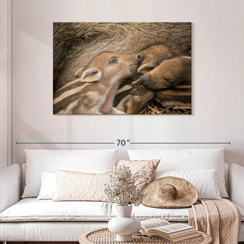 Brampt Piglet Family