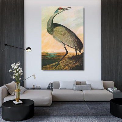 Sandhill Crane