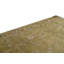Floral Area Rug in Tan