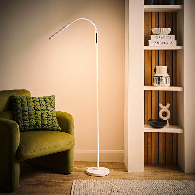 Chaze 19.35cm Powder Coated LED Arched Floor Lamp