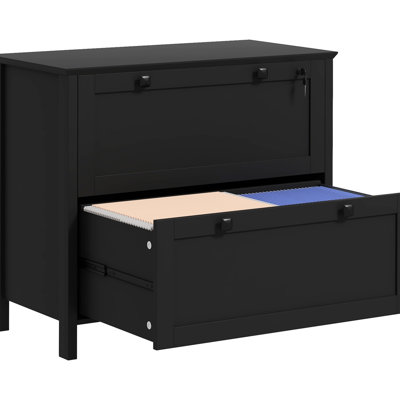 Classeur verrouillable pour bureau à domicile, noir. 2 tiroirs avec barre de suspension réglable pour format lettre, format légal, format A4. Élégant, fonctionnel. Sécuritaire. . Capacité de l 31,1 po x l 15,7 po x H 28,3 po. Capacité de 132 lb.