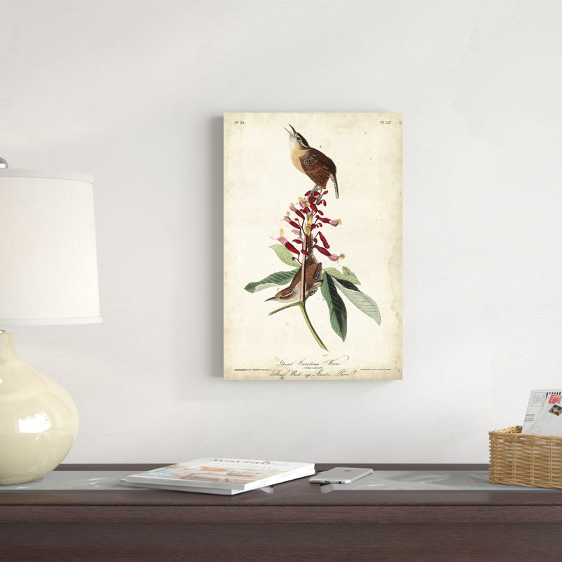 Great Carolina Wren, H 18 po x l 12 po x P 1,25 po