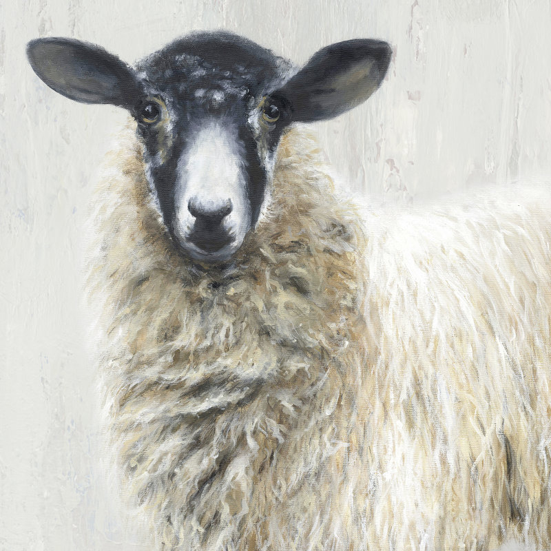 Shelley sur toile, H 12 po x l 12 po