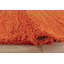 Esterly Orange Shaggy Rug-30878838