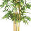 Bambou en soie-784335795