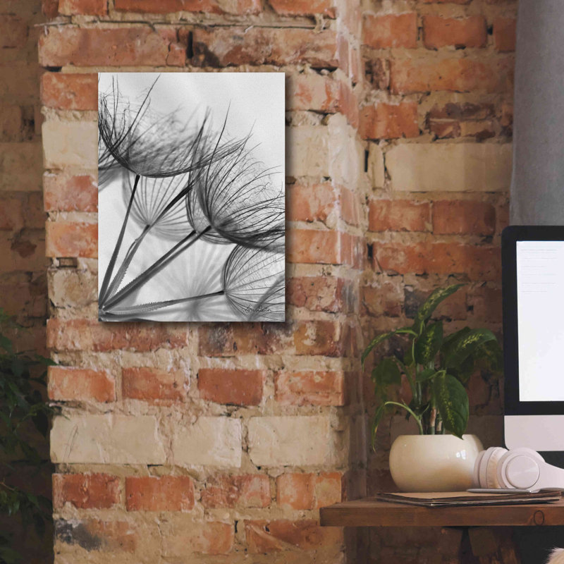«Goatsbeard II» par Lori Deiter, art mural sur toile, H 16 po x l 12 po x P 0,75 po
