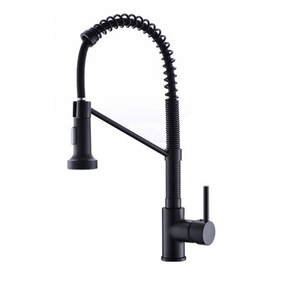 Shinyswan Kitchen Faucet