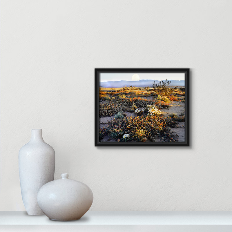 «Anza Borrego Desert» par Danita Delimont - reproduction encadrée sur toile, H 9,5 po x l 11,5 po x P 2 po
