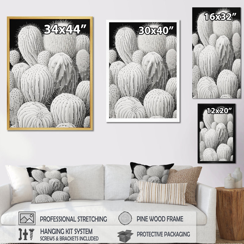 " Black White Minimalism Cactus ", 32" H x 16" W x 1" D, Silver Single Picture Framed