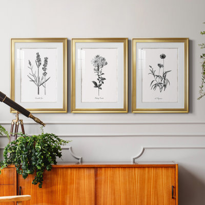 " Simply Imperial " 3 - Pieces