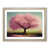 Oak Framed