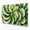 Art mural sur toile beige, légumes et concombre