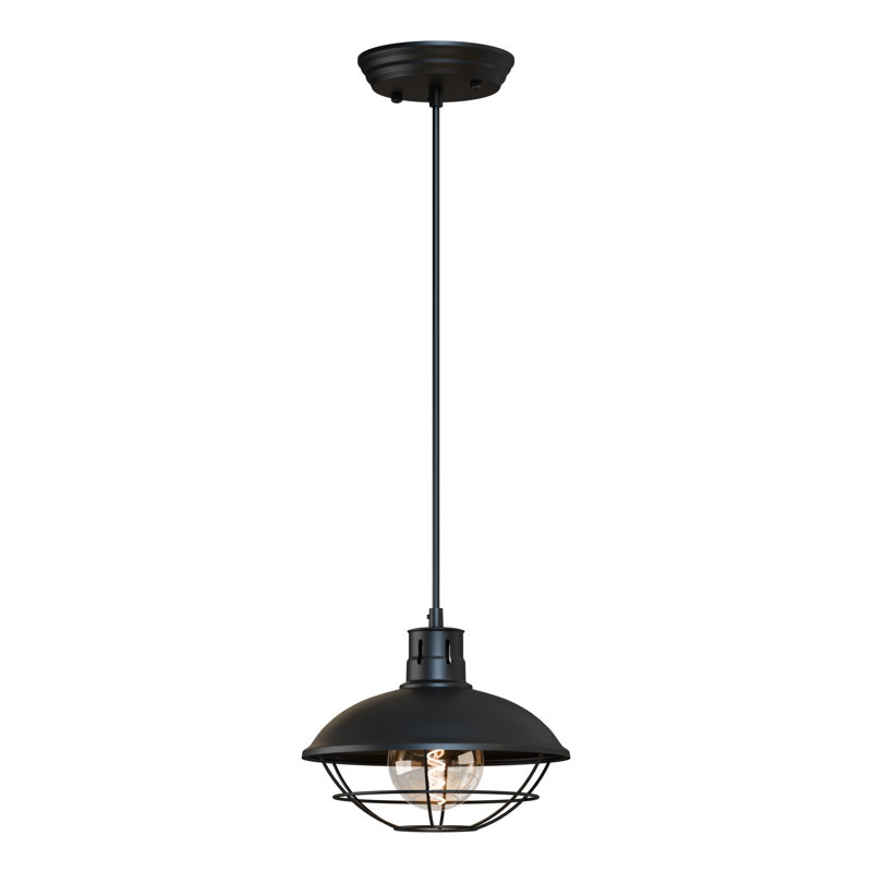 Aliyna 1 - Light Dome Pendant, Black
