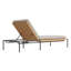 Dog Days Outdoor Chaise Lounge-96832068-67393290