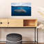 Whale Shark Beneath Surface Abstract Contemporary Fish Shark Whale Nature Ocean Wall Art Print 1 Piece Wrapped Canvas Wall Art-1399295747