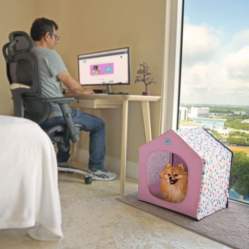 Plastic Collapsible Pet Soft-Sided Crate