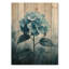 Hortensia bleu sarcelle dans un champ monochrome - décoration murale en bois d'hortensia - sur bois de pin naturel-2092147081