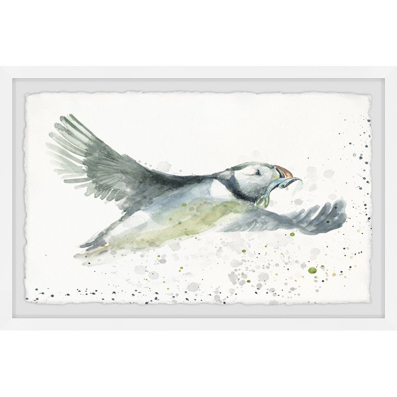 Kingfisher by Parvez Taj - 1 Piece Single Picture Frame Painting, 20cm H x 30cm W