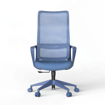 Ergonomic Colorful Office Chair 350LBS Home Office Mesh Breathable High Back, With Adjustable Lumbar Support Computer Chair, Integrated Molded Foam Seat Cushion, Fireproof