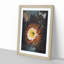 Blooming Cacti by R.J. Thornton - Picture Frame Painting Print-55544571-55544576