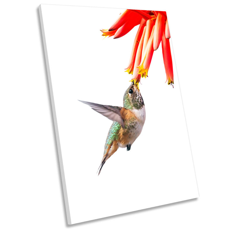 Humming Bird Floral Flower - Wrapped Canvas Print, 91.4cm H x 61cm W