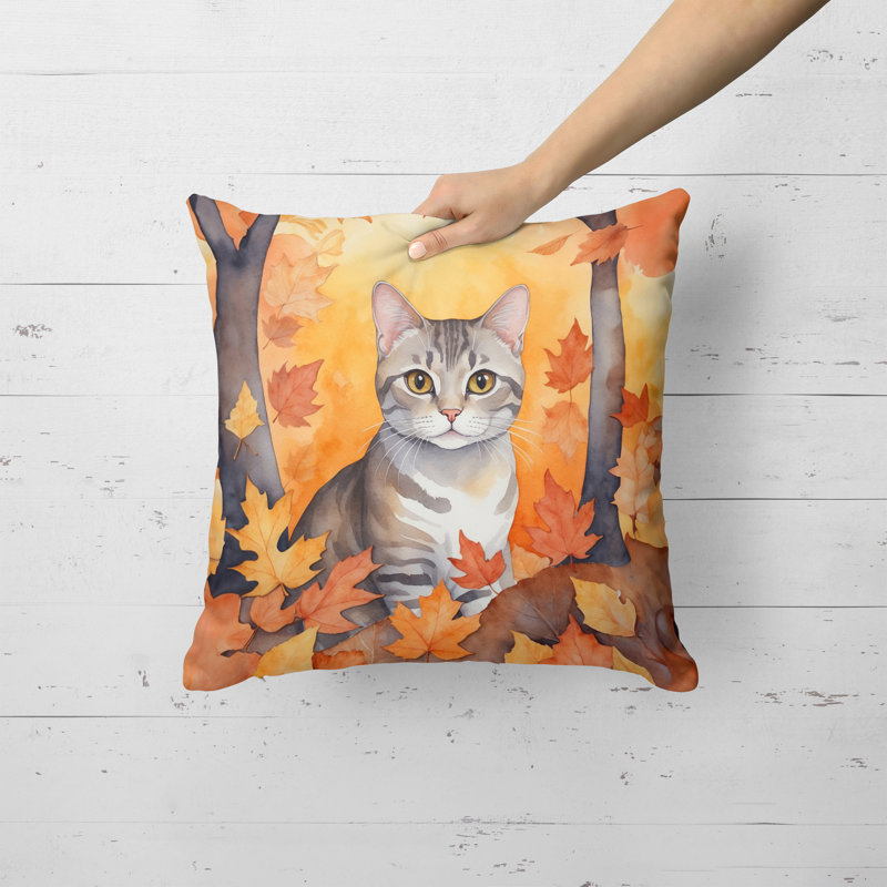 Coussin European European Shorthair, Carré 18 po
