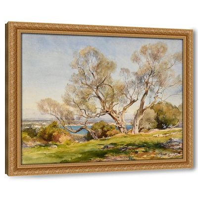 Les oliviers. Cap d'Antibes (1905)